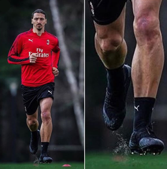 ibra